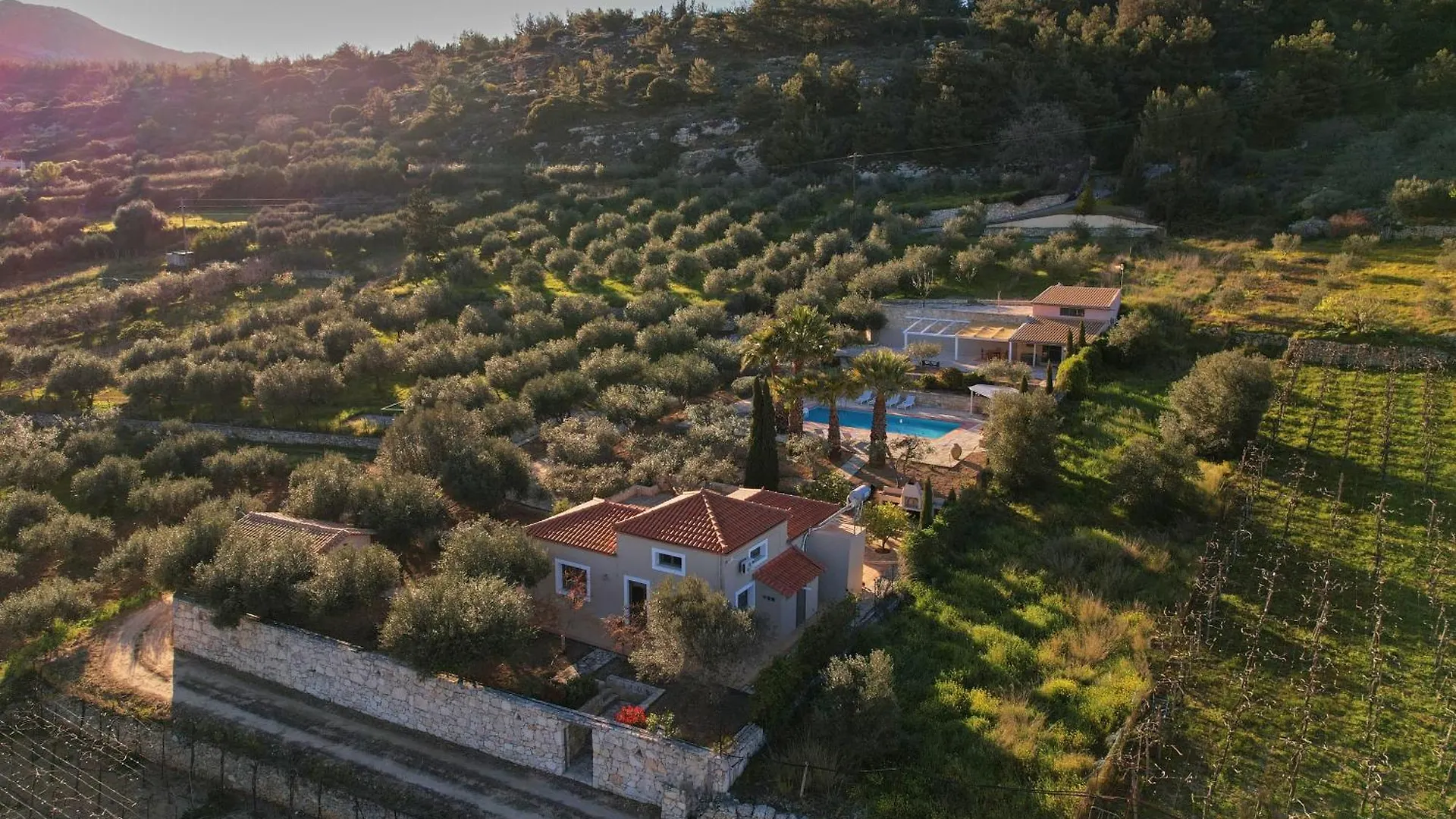 The Olive Grove Villas With Swimming Pool And Breakfast Archanes